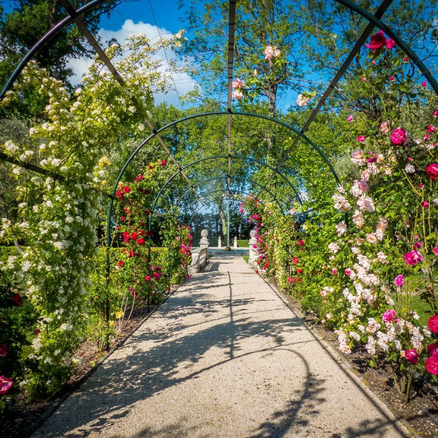 Chateau De Tourreau Саррьян Экстерьер фото